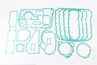 Набор прокладок КПП КАМАЗ ZF16S151,16S181,16S221 (17наим.) зелёный (Москва) ( ОЕ 03-80-211 ) 1315298001-95531261-17Н зел. (03-80-211)